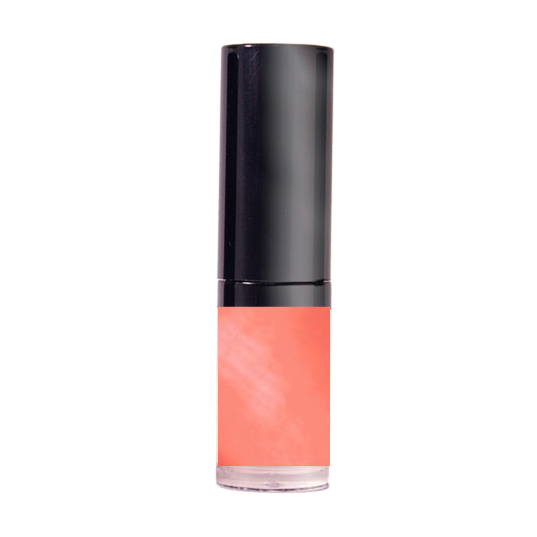 Girl Next Door Lip Stain